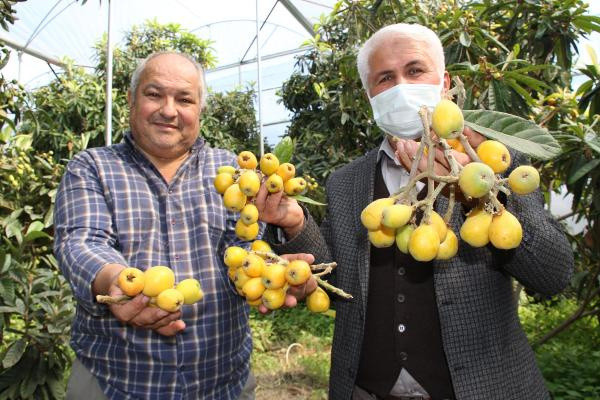 Mersin'de kilosu 30 liraya satılıyor! 3 bin ton üretiliyor - Resim: 0