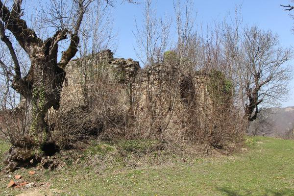 Samsun'da bin yıllık geçmişi var gören şaşırdı: 80 yaşlarında 4 kardeş gelip anlattı - Resim: 1