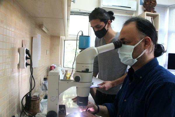 'İlk kez görülen bir tür keşfettik' deyip dünyaya duyurdular! Adana ismini verdiler - Resim: 0