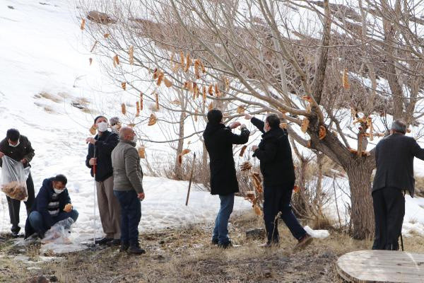 Erzurum'da tek tek ağaca astılar! Gören şaştı kaldı - Resim: 0