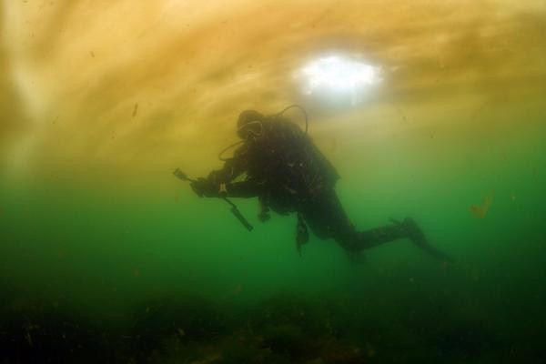 Durum fena! Marmara Denizi'ndeki salya su altını da sardı - Resim: 0