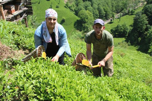 Salgın ayırınca bakanlıklar devreye girdi! Rize'de yeniden kavuştular - Resim: 0