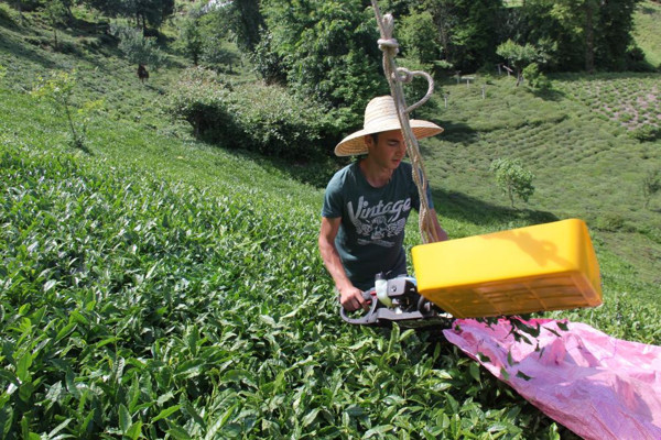 Karadenizli zekasıyla şaşırttı! Hiç yorulmadan yapıyor Rize'de görenler hayret etti - Resim: 0