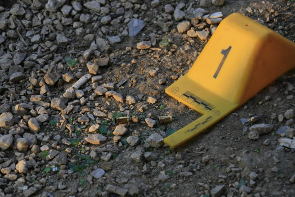 Adana'da kaldırımda görünce dehşet saçtı! Kanlar içinde bıraktı - Resim: 1