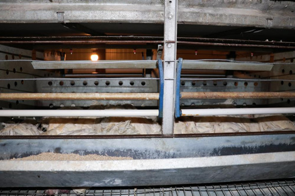 Kahramanmaraş'ta haberi alır almaz geldi! Gözyaşlarına boğuldu: Ağıt yaktı - Resim: 1