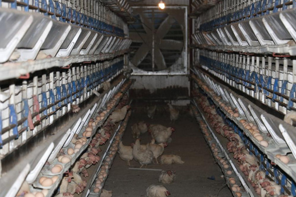 Kahramanmaraş'ta haberi alır almaz geldi! Gözyaşlarına boğuldu: Ağıt yaktı - Resim: 0