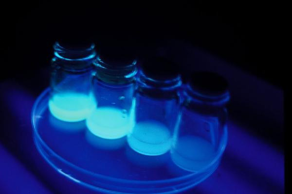 Bilim insanları açıkladı! Ateş böceği gibi parlayıp uzaktan tespit edecek! - Resim: 0