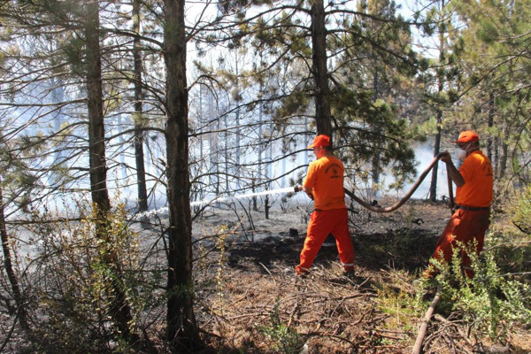Bu kez Karaman'da yangın çıktı! Ekipler seferber oldu - Resim: 0