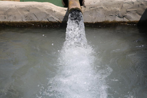 Edirne'de kavga ölümle bitti: İlk defa bu şeklide bir olay yaşandı - Resim: 0