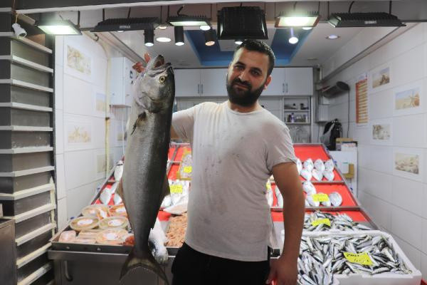 Çanakkale'de gören şaştı kaldı! 900 liradan satışa sunuldu - Resim: 0