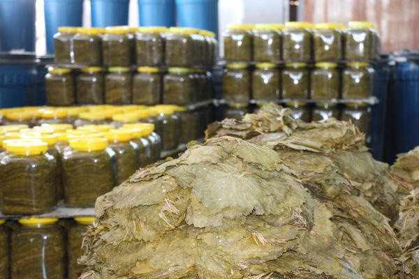 Tokat'ta üretiliyor 10 TL'ye satılıyor! 15 ülke sıraya girdi: 90 milyon TL katkı sağlıyor - Resim: 0