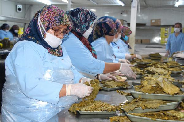 Tokat'ta üretiliyor 10 TL'ye satılıyor! 15 ülke sıraya girdi: 90 milyon TL katkı sağlıyor - Resim: 1