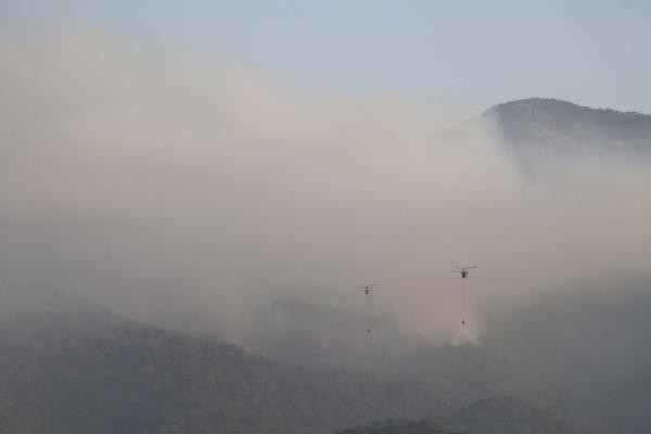 Balıkesir'de Kaz Dağları yanıyor! Hava müdahalesi yeniden başladı - Resim: 0