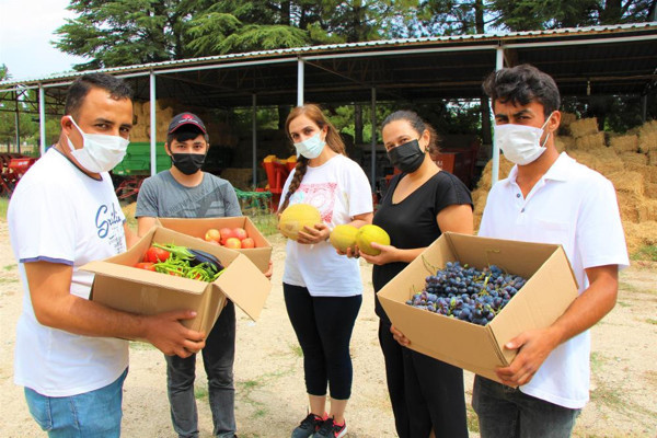 Amasya'da okul bahçesinde yetiştirip ücretsiz dağıtıyorlar: Hepsi tamamen organik - Resim: 0