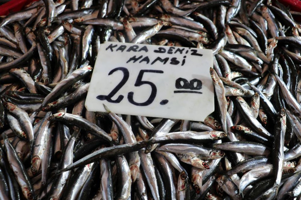 Fiyatlar yüksek olunca tezgahlar boş kaldı! İşte balık fiyatları... - Resim: 0