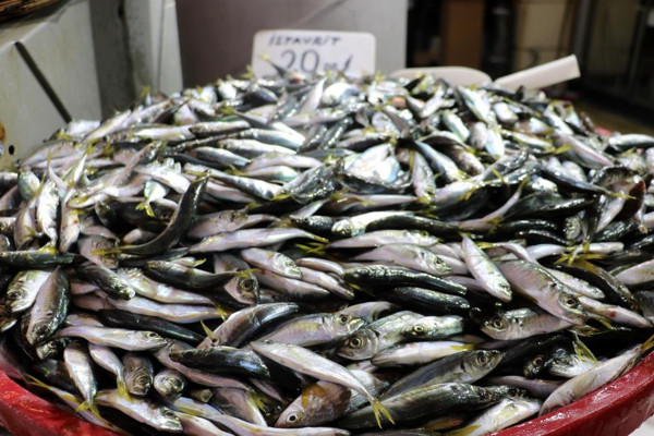 Fiyatlar yüksek olunca tezgahlar boş kaldı! İşte balık fiyatları... - Resim: 1