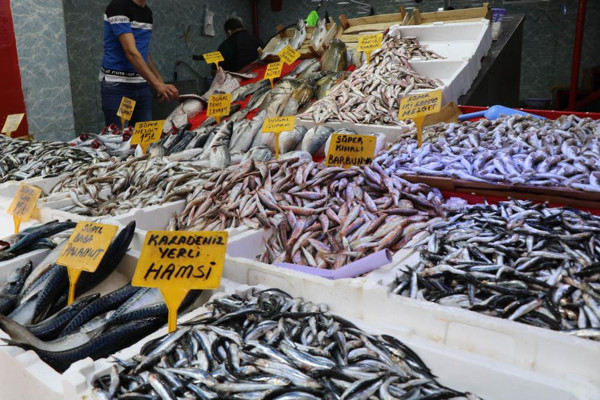 Karadeniz’in nazlı balığından iyi haber geldi! İşte fiyatlar... - Resim: 0