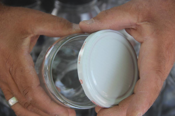 Geçen yıl tükenmişti! Bu yıl talep yok: 2,5 TL’den alıcı bulamıyorum - Resim: 0