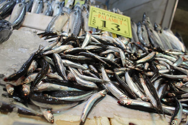 Her şeye zam var balığa zam yok! Ankara'da vatandaşlar tezgahlara akın etti - Resim: 0