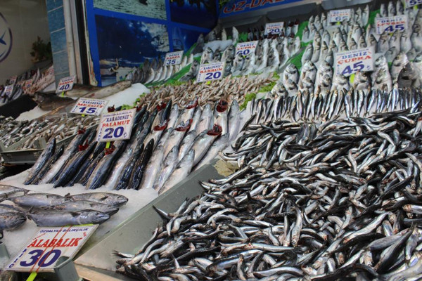 Her şeye zam var balığa zam yok! Ankara'da vatandaşlar tezgahlara akın etti - Resim: 2