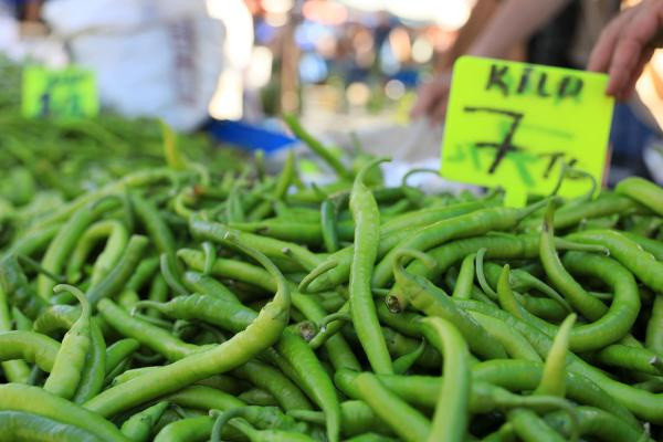 Antalya'da fiyatı 5 kilometrede yüzde 176 arttı: Vatandaşa zulmediliyor - Resim: 2
