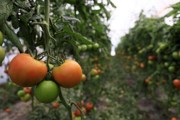 Antalya'da fiyatı 5 kilometrede yüzde 176 arttı: Vatandaşa zulmediliyor - Resim: 3