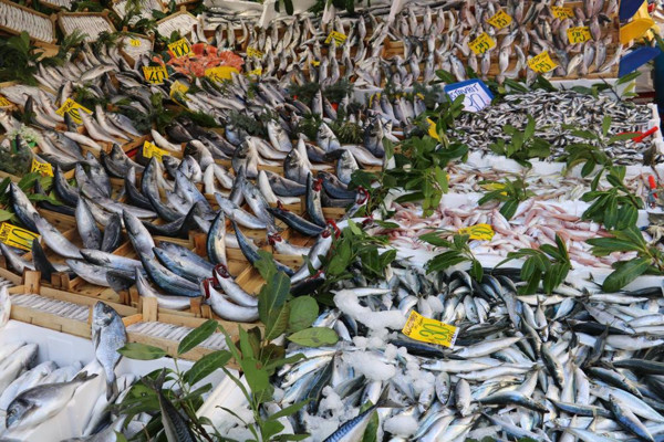 Bolluk yaşandı balık fiyatları düştü! Tezgahlar yüzleri güldürdü - Resim: 0