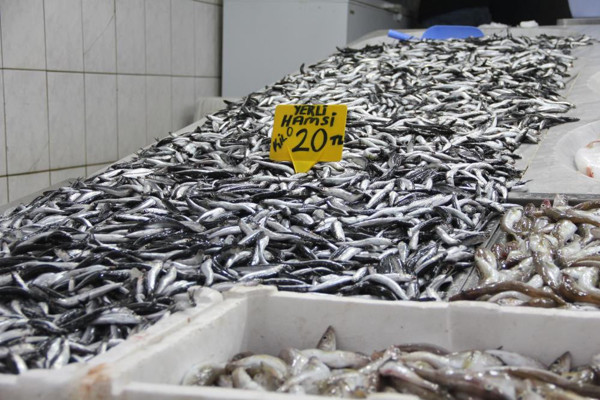 Hamsi bereketi yaşandı! Tezgahlar doldu taştı: İşte hamsinin fiyatı... - Resim: 0