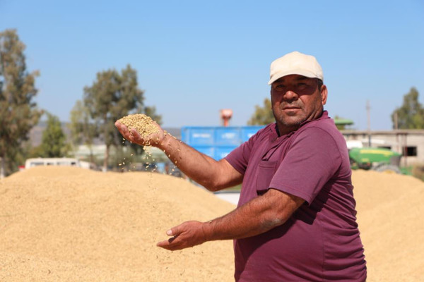 Mersin'de tarlada 4 TL markette 25 TL: Üretici elinden gelen gayreti gösterdi - Resim: 0