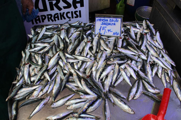 Tezgahta bolluk yaşandı! Omega üç deposu ucuzladı: Fiyatı 15 TL'ye düştü - Resim: 0