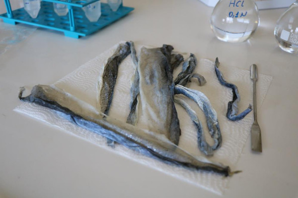 Kırşehir'de balık derisinden üretildi! Antioksidan ve anti kanser özelliği şaşırttı - Resim: 0