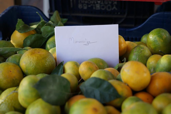 Kastamonu'da meyvelerin arasında görünce şaştı kaldı: Çok duygulandım - Resim: 0