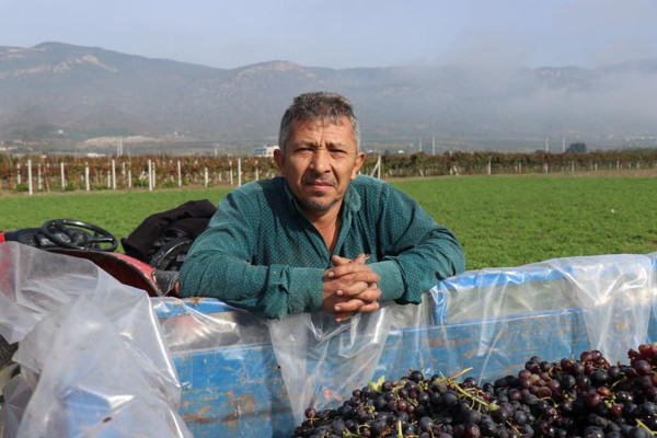 Tarlada 2 TL markette 10 TL! Fiyatlar yüzleri güldürmedi: Rahatlamak istiyoruz. - Resim: 2