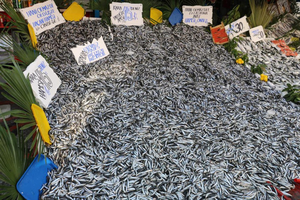 Balık tezgahları doldu taştı: Bu fiyatı epeydir ilk defa görüyorum - Resim: 1