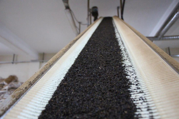 Trabzon'da fabrika sahibi genç 5 bin TL maaş veriyor: Gençler iş beğenmiyor - Resim: 0