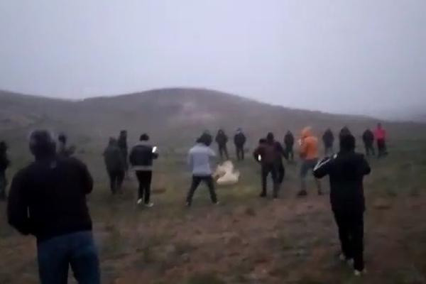 Kırıkkale'de 'köpek dövüşü' operasyonu: 25 gözaltı - Resim: 0