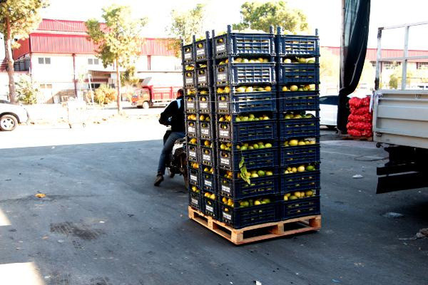 Kasanın fiyat  içindeki limonu geçti! "Bir sene sonra dolarla alacağız" - Resim: 1