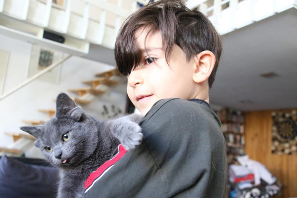 Ankara'daki 4 kulaklı kedinin başı dertte: Böyle bir durumla hiç karşılaşmadım - Resim: 2