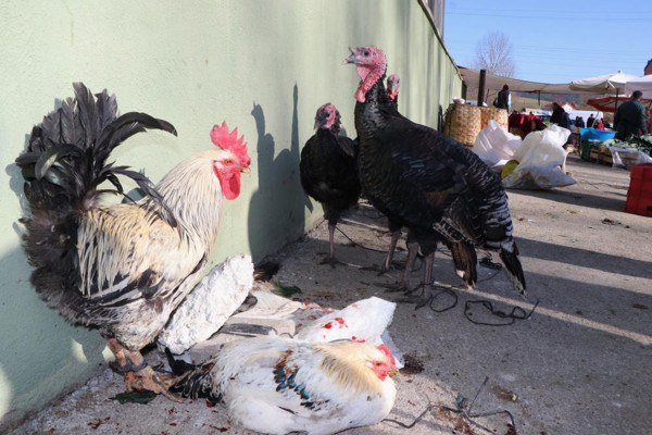 Bu yiyecek kolestrole iyi geliyor! Karabük'te kilosu 75 TL'ye satılıyor - Resim: 0