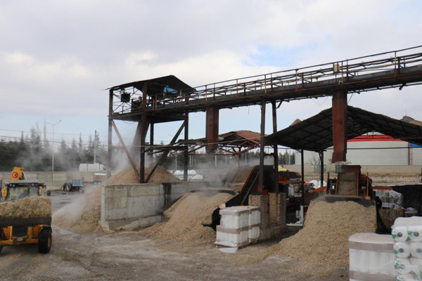 Fiyat düşük olunca talep çok oldu: Siparişleri karşılayamıyoruz - Resim: 0