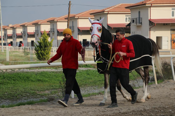 Maaş zammını beğenmeyen 1000 seyis greve gitti! 7 saatin sonunda anlaştılar - Resim: 1