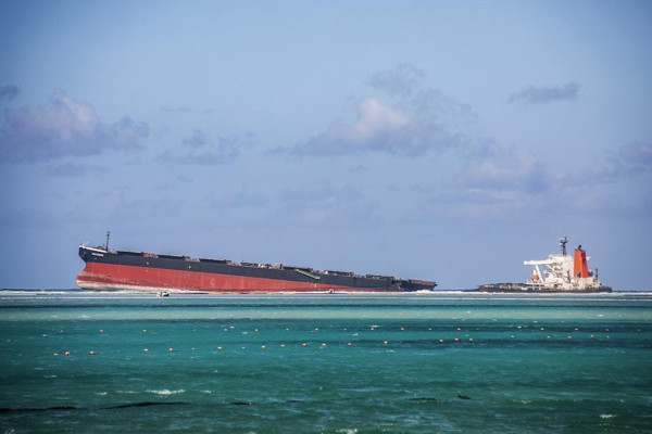 Çevre felaketine neden oldu! Onlarca canlı telef oldu: Geminin kaptanına hapis şoku - Resim: 0