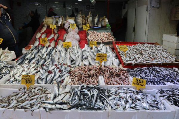 Samsun'da tanesi 500 TL'den satılıyor: Bu sene olmayan balık çıkmaya başladı - Resim: 0