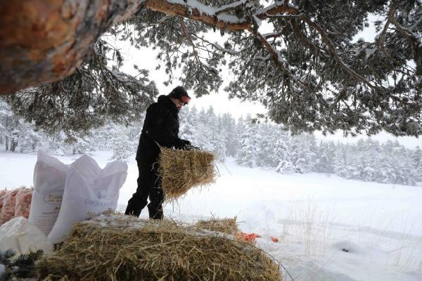 Bakan Bekir Pakdemirli hayvanlar için doğaya yiyecek bıraktı - Resim: 0