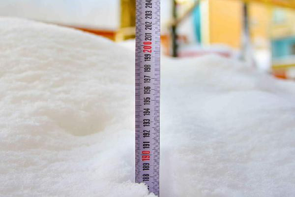 Sosyal medya bu görüntüyü konuşuyor! Karda boy verdi - Resim: 0