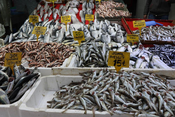 Kırmızı ve beyaz et fiyatları cepleri yaktı! Vatandaş soluğu balıkta adı: İşte balık fiyatları... - Resim: 1