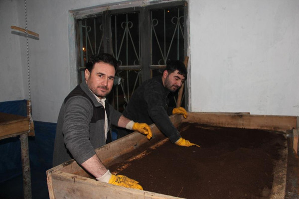 Erzurum'da hobi olarak başladı ikinci işi oldu! 8 ton üretiyor: İsrail Amerika 50 yıldır bu ürünü kullanıyor - Resim: 0