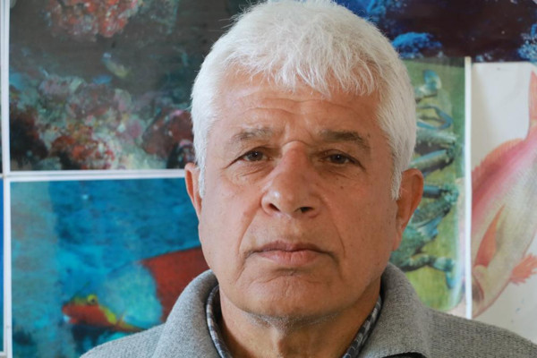 Sakın yakınına yaklaşmayın ve dokunmayın! Yüzlercesi kıyıda vurdu: Profesör uyardı - Resim: 1