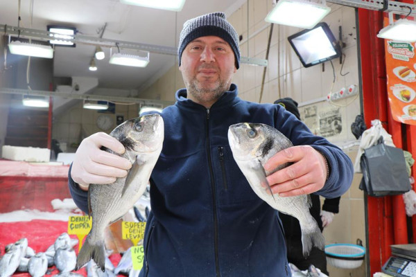 Av sezonu kapandı! Kültür balıkları yerini aldı: İşte alabalık, somon, levrek, palamut fiyatları... - Resim: 0