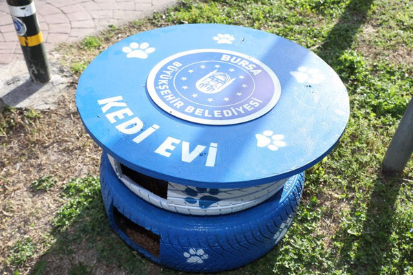 Özel proje başlatıldı! Sokaktan toplanıp dönüştürüldü: Bursa'da doğaya yerleştirildi - Resim: 1